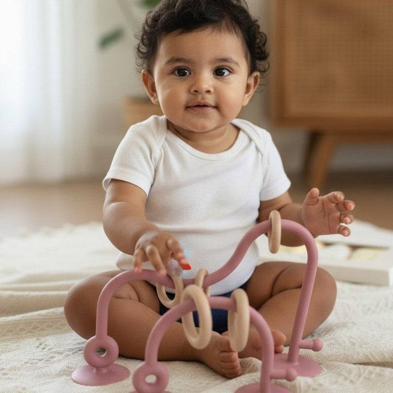 Montessori Skill Development Toy